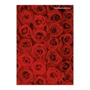 A5ワイヤーステッチノートブック FIORE-23-02 A5ノート[FIORE]RS-RE