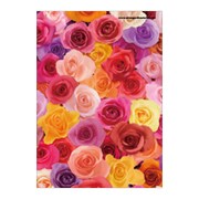 A5ワイヤーステッチノートブック FIORE-23-04 A5ノート[FIORE]RS-AS