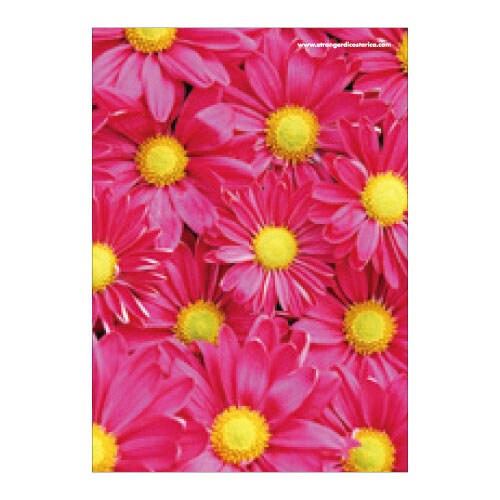 A5ワイヤーステッチノートブック FIORE-23-12 A5ノート[FIORE]GB-RE