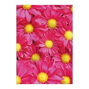 A5ワイヤーステッチノートブック FIORE-23-12 A5ノート[FIORE]GB-RE