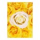 A5ワイヤーステッチノートブック FIORE-23-13 A5ノート[FIORE]RS-YE