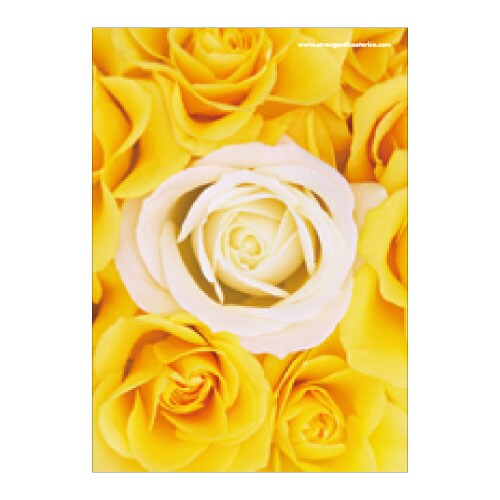 A5ワイヤーステッチノートブック FIORE-23-13 A5ノート[FIORE]RS-YE