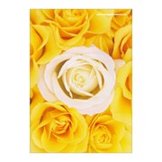 A5ワイヤーステッチノートブック FIORE-23-13 A5ノート[FIORE]RS-YE