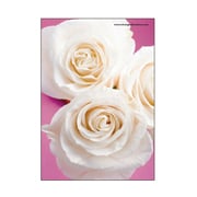 A5ワイヤーステッチノートブック FIORE-23-22 A5ノート[FIORE]GB-AS