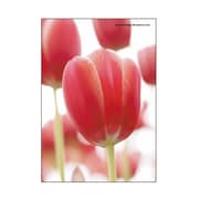 A5ワイヤーステッチノートブック FIORE-23-25 A5ノート[FIORE]TP-RE