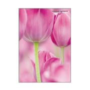 A5ワイヤーステッチノートブック FIORE-23-28 A5ノート[FIORE]TP-PI