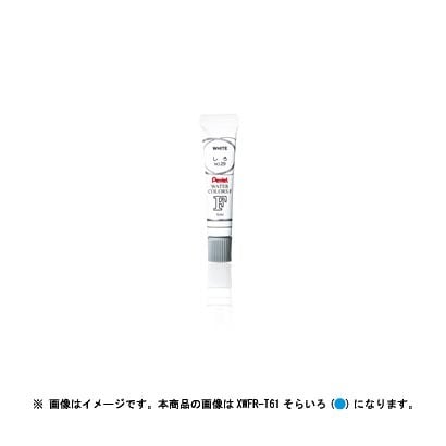 エフ水彩 えのぐ ラミチューブ入り パック入り そらいろ XWFR-T61