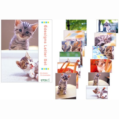 レターセット177　写真　ネコ柄 86177006