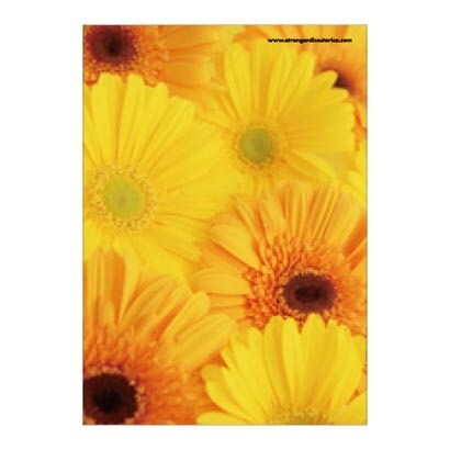 A5ノート FIORE GB-YE FIORE-23-03