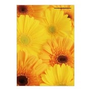 A5ノート FIORE GB-YE FIORE-23-03