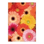 A5ノート FIORE GB-AS FIORE-23-06