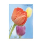 A5ワイヤーステッチノート TP-AS FIORE-23-33