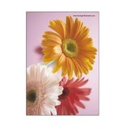 A5ワイヤーステッチノート GB-AS FIORE-23-37
