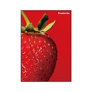 A5ノート Frutteria ストロベリー FRT-23-01