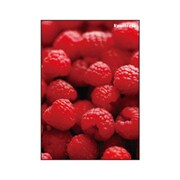 A5ノート Frutteria ラズベリー FRT-23-02