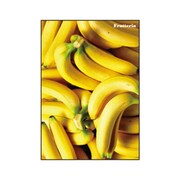 A5ノート Frutteria バナナ FRT-23-06