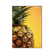 A5ノート Frutteria パイナップル FRT-23-07