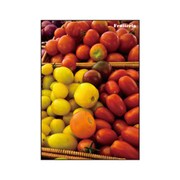 A5ノート Frutteria フルーツ FRT-23-11