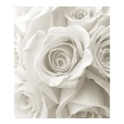 A4アルバム (RS-WH) FIORE-11-01