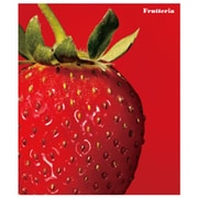 A4システムアルバム[Frutteria]ストロ FRT-11-01