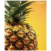 A4システムアルバム[Frutteria]パイ FRT-11-07