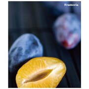 A4システムアルバム[Frutteria]プル FRT-11-09