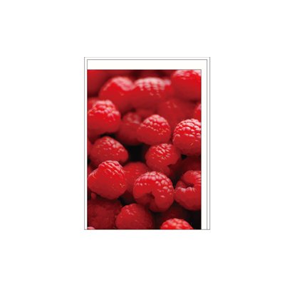 グリーティングカード[Frutteria] FRT-GC-02