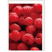 グリーティングカード[Frutteria] FRT-GC-02