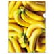 A4クリアホルダー Frutteria バナナ FRT-32-06