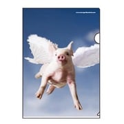 A4クリアホルダー pig MAM2-32-37