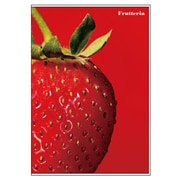 アルバムM Frutteria ストロベリー FRT-PM-01