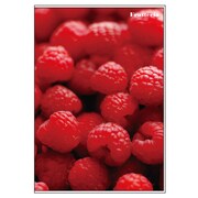 アルバムM Frutteria ラズベリー FRT-PM-02