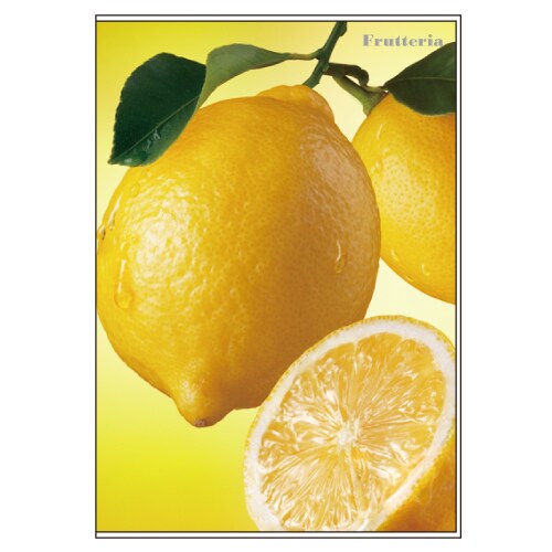 アルバムM Frutteria レモン FRT-PM-05