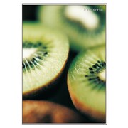 アルバムM Frutteria キウイ FRT-PM-08