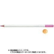 色鉛筆 色辞典 単色 LG02 渋紙色 CI-RLG2