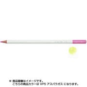 色鉛筆 色辞典 単色 VP05 アスパラガス CI-RVP5