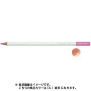 色鉛筆 色辞典 単色 DL01 雀茶 CI-RDL1