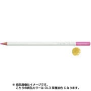 色鉛筆 色辞典 単色 DL03 菜種油色 CI-RDL3
