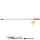 色鉛筆 色辞典 単色 DL04 麹塵 CI-RDL4