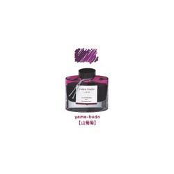 海外最新 ヨドバシ.com 色彩 iroshizuku 万年筆インキ PILOT パイロット - 万年筆インク