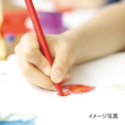 マルマン maruman S115 [A3 スケッチブック 図案印刷シリーズ] 通販【全品無料配達】