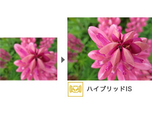 ヨドバシ.com - キヤノン Canon IXY 430F PK [ピンク] 通販