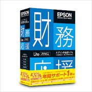 財務応援Lite どどんとバザールキャンペーン商品 [Windowsソフト]