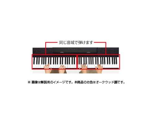 ヨドバシ.com - カシオ CASIO 電子ピアノ 88鍵 オークウッド調