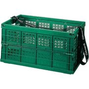 809-260J [ベルトコンテナ BII グリーン （BELT CONTAINER B II GREEN）]