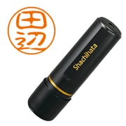 ネーム印 XL-11 1393 ブラック11 田辺