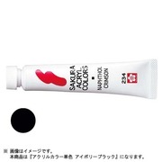 アクリルカラー単色 アイボリーブラック ACW#582