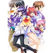 マブラヴ限定版 [PS3ソフト]