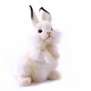 シロウサギ [No.3313]