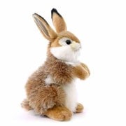 ウサギ [No.3316]